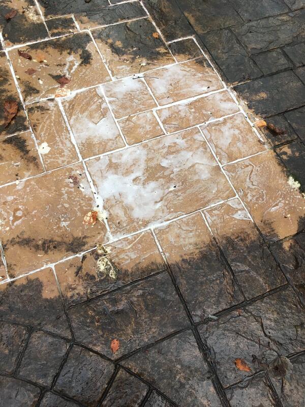 Shark Black Spot Remover - Patio & Driveway Cleaner