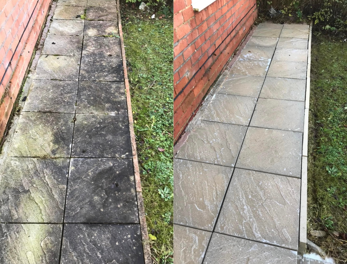 Shark Black Spot Remover - Patio & Driveway Cleaner