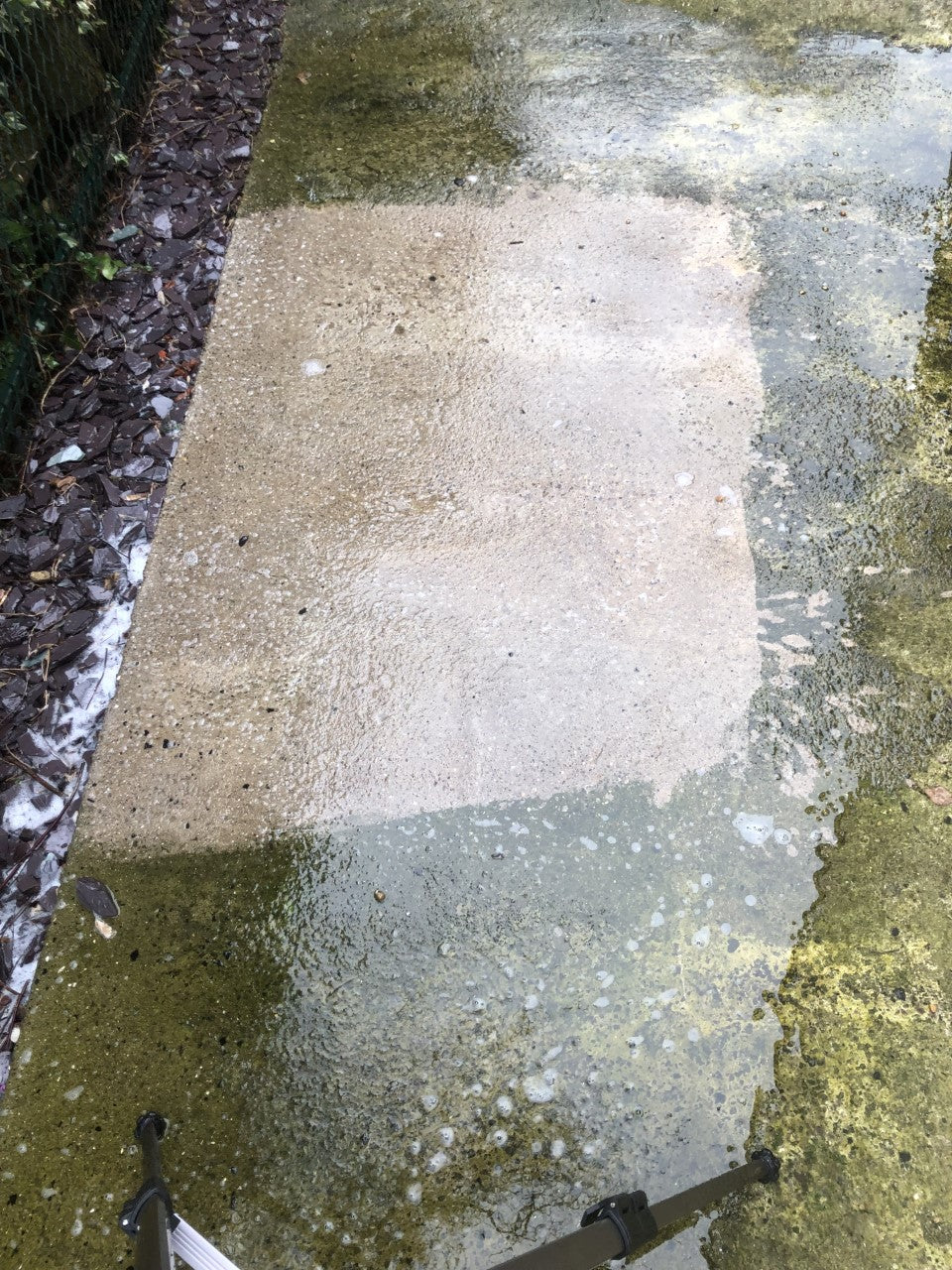 Shark Instant Clean – Concrete Patio & Driveway Cleaner