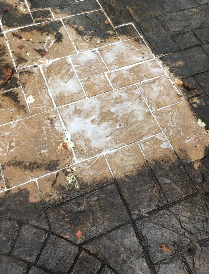 Shark Instant Clean – Concrete Patio & Driveway Cleaner
