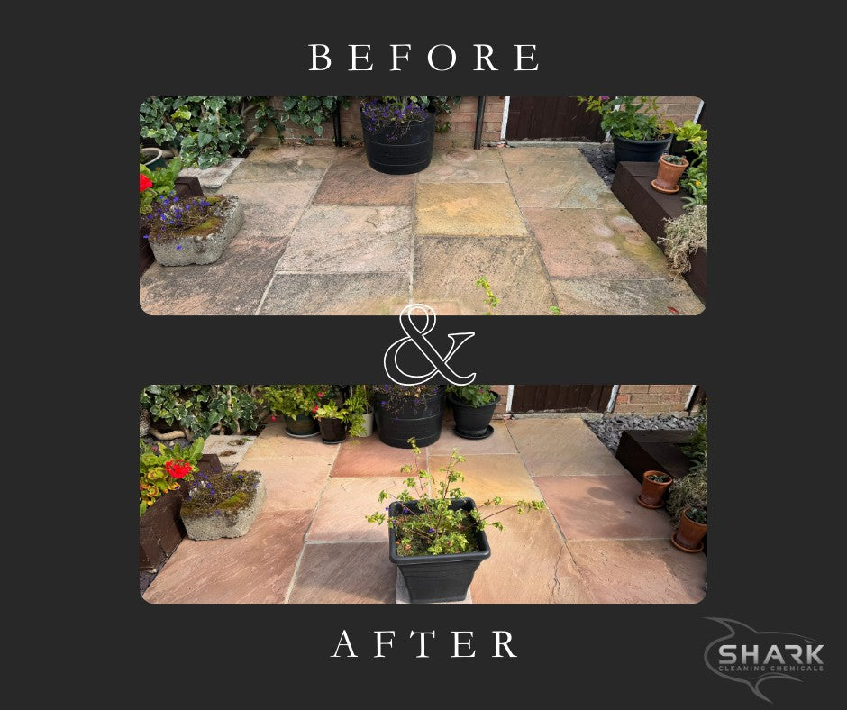 Black spot removal from patio using shark instant clean natural stone